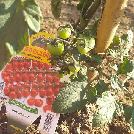 Il Giardino Acquatico * ארדאה